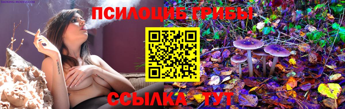 Псилоцибиновые грибы MAGIC MUSHROOMS Гатчина